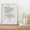 Kenay Home Mimosa