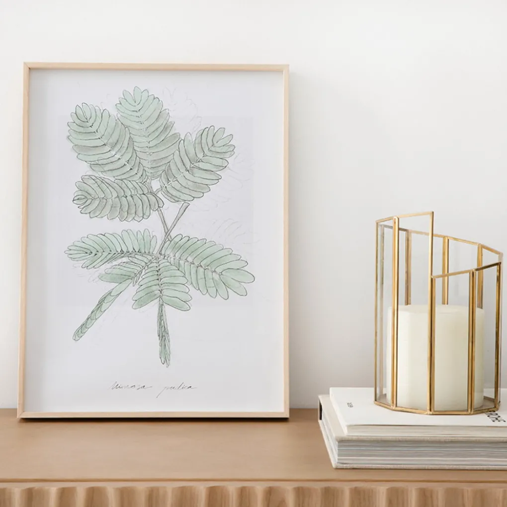 Kenay Home Mimosa